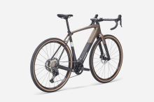 Checkpoint+ SL 5 2027 Matte Bronze Age/Dark Web (1)
